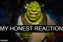 Shrek My Honest Reaction GIF - Shrek My Honest Reaction Myhonestreaction GIFs