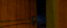 a couple of animals are standing in a dark room .