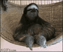 GIF