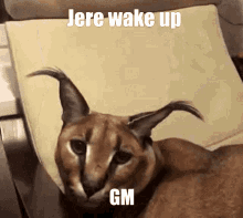 Jere Wake GIF - Jere Wake Up GIFs