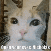 a close up of a cat 's face with the words open your eyes nicholas