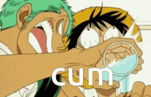 Cum Luffy GIF - Cum Luffy Zoro GIFs