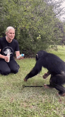 a woman in a mystic beach safari shirt is feeding a monkey