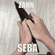 Seba Zann GIF - Seba Zann GIFs