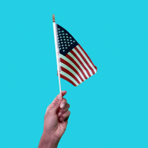 Halive2022 American Flag GIF - Halive2022 American Flag America GIFs