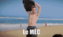 Vincent Messenger GIF - Vincent Messenger Lemec GIFs