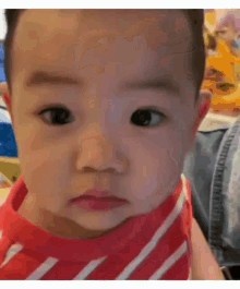 Cute Baby Tsaigray2018 GIF - Cute Baby Tsaigray2018 Gray Tsai GIFs