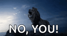 a picture of a lion with the words " no you " behind it