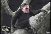 Podawful Ruphio GIF - Podawful Ruphio Monkey GIFs