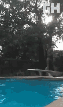 Epic Fail Dive GIF - Epic Fail Dive Jump GIFs