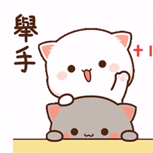 peach goma peach goma