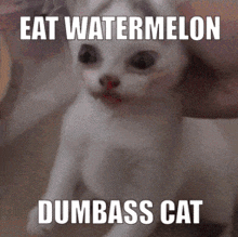 Eat Watermelon Mmmmm Melon GIF - Eat Watermelon Melon Mmmmm Melon GIFs