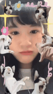 a girl is surrounded by cats with a flower in her hair