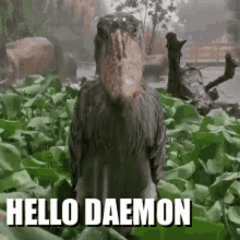 Hello Daemon GIF - Hello Daemon GIFs