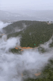 an aerial view of a lush green forest covered in fog