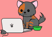 Computer Cat GIF - Computer Cat Kitty GIFs