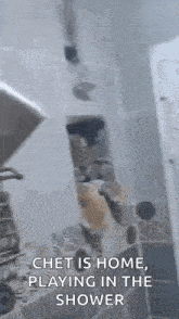 a cat is playing in a shower with a caption that says `` chet is home playing in the shower '' .