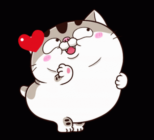 Ami Fat Cat Fgcat GIF - Ami Fat Cat Fgcat Heart GIFs