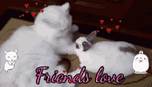 Sueste Princes True Friends GIF - Sueste Princes True Friends Bunny Loves Cat GIFs