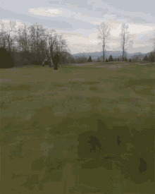 Golf Golfing GIF - Golf Golfing Golf Shot GIFs