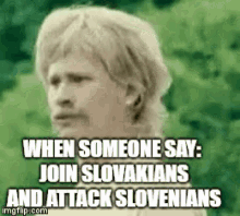 Slovenia Slovakia Slovakiaslovenia GIF - Slovenia Slovakia Slovakiaslovenia Thefuq GIFs
