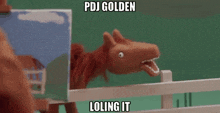 a stuffed horse behind a fence with the words pdj golden written on it .
