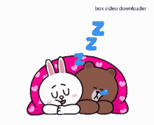 cony and brown cute sleeping bedtime good night