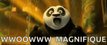 Kung Fu Panda Amazed GIF - Kung Fu Panda Amazed Not Bad GIFs