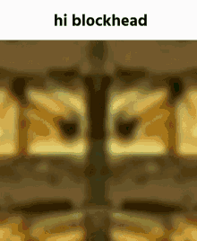Blockhead GIF - Blockhead GIFs