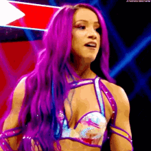 a woman with purple hair is standing on a stage in a wrestling ring .