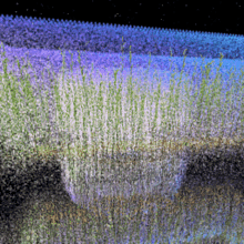 Grass In Ice GIF - Grass In Ice GIFs