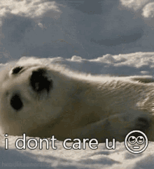 Baby Harp Seal Dont Care GIF - Baby Harp Seal Dont Care Ur Sucks GIFs