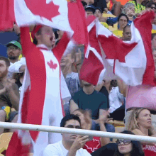 Cheering Olympics GIF - Cheering Olympics Canada Represent GIFs