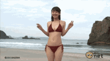 Bikini Lady GIF - Bikini Lady Happy GIFs