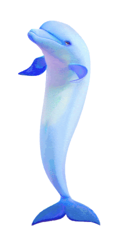 Dancing Dolphin Sticker - Dancing Dolphin Stickers