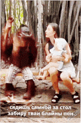 Monkey Pon Monkey Itc обезьяна пон макака обезьянка пон GIF - Monkey Pon Monkey Itc обезьяна пон макака обезьянка пон GIFs