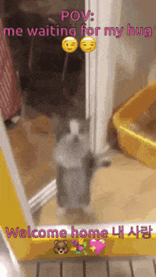a picture of a cat standing in front of a door that says " pov me waiting for my hug "
