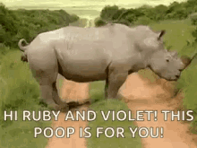 Rhino Pooping GIF - Rhino Pooping Poop GIFs