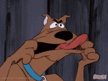 face scooby