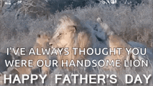 Lions Dad GIF - Lions Dad Fathersday GIFs