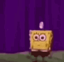 Stefaknee Spongebob GIF - Stefaknee Spongebob GIFs