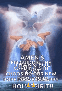 a picture of a person holding a dove with the words amen & fir guiding the cardinals in choosing our new pope