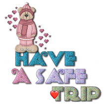 Have A Safe Trip GIF
