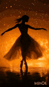 a silhouette of a woman in a tutu dancing in front of a fire