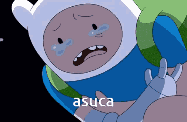 finn adventure time anime