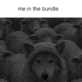 a black and white photo of sheep with the words me in the bundle at the bottom