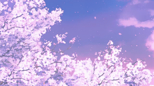 purple-sakura-tree.gif