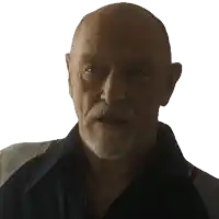 a bald man with a beard wearing a blue shirt looks at the camera