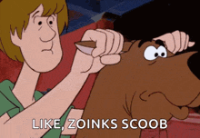Shaggy Scooby Doo GIF - Shaggy Scooby Doo Running GIFs