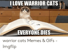 cats beluga Memes & GIFs - Imgflip